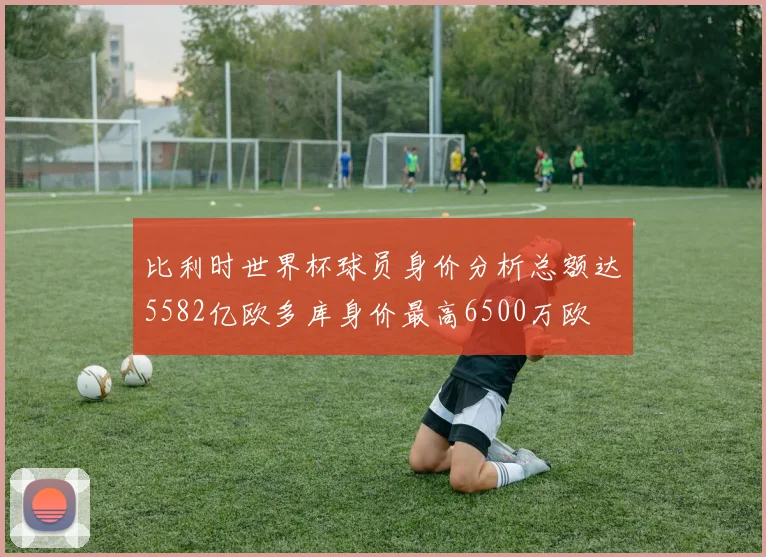 比利时世界杯球员身价分析总额达5582亿欧多库身价最高6500万欧