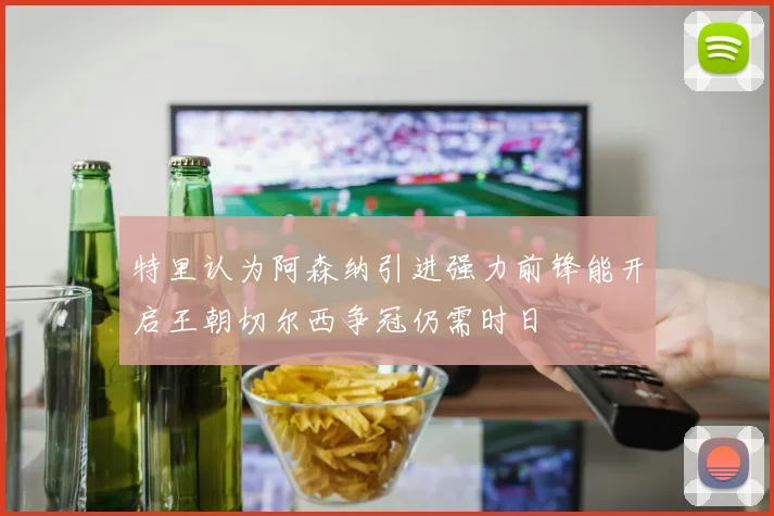 特里认为阿森纳引进强力前锋能开启王朝切尔西争冠仍需时日