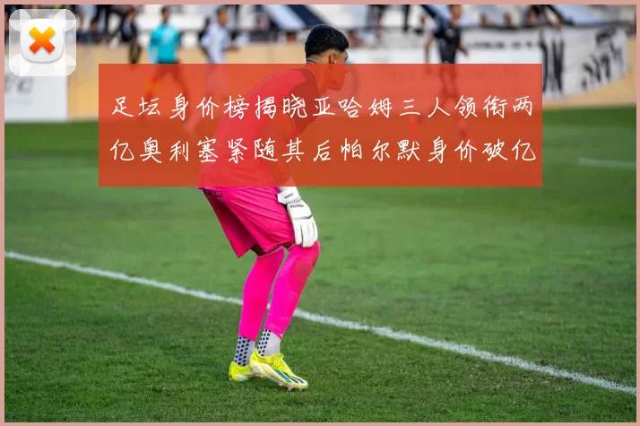 足坛身价榜揭晓亚哈姆三人领衔两亿奥利塞紧随其后帕尔默身价破亿